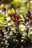 Servimalla - Mallas de Seguridad | Cortinas de Madera Instalacion y Mantencion